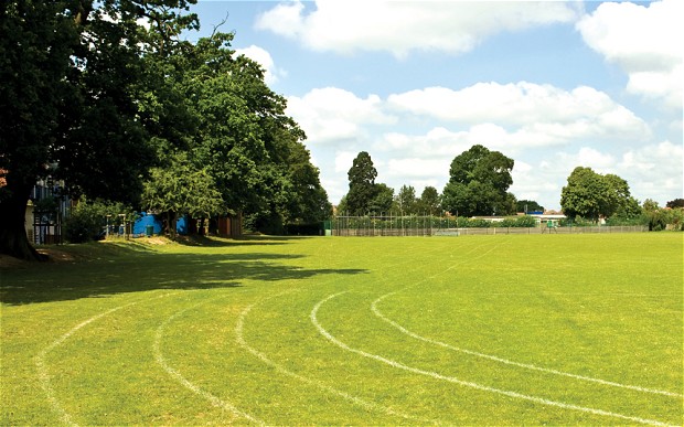 field_2313589b