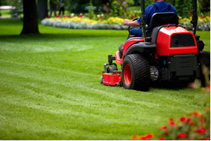 mower2